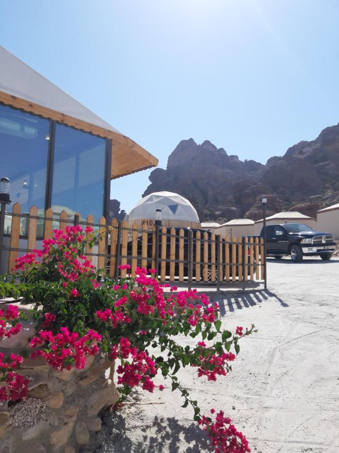 瓦迪穆萨 The Rock Camp Petra酒店 外观 照片